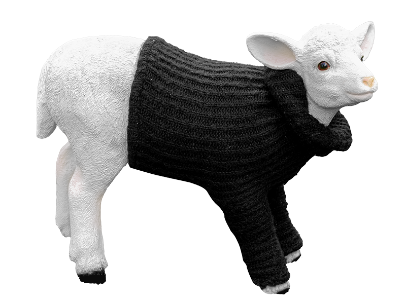 Black sheep